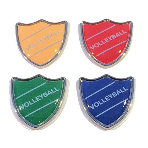 VOLLEYBALL badge